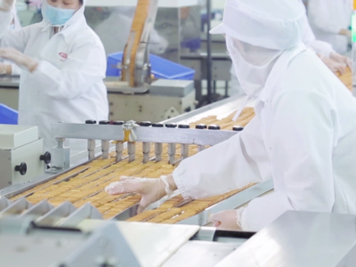 �����ʴ�mg����ͻ�Ƶ�OEM ʵ��������